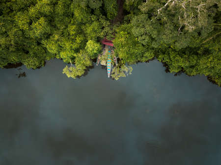 amazonian jungle and a lake seconds before the rainの写真素材