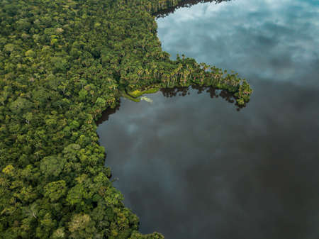 amazonian jungle and a lake seconds before the rainの写真素材