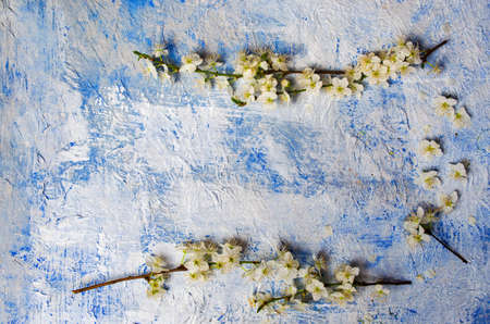 White Lilac flowers arrangement on blue table top view
