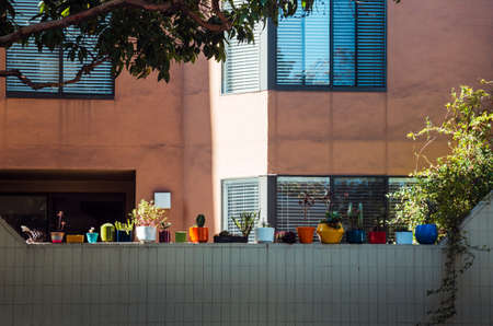 Different cactuses on a wall in colorful flower potsの写真素材