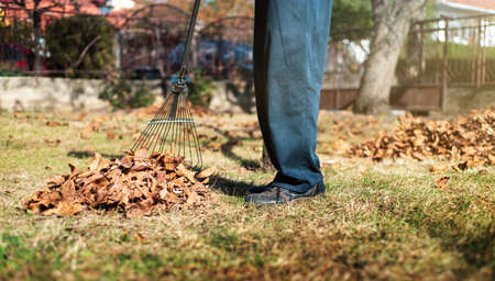 Man cleaning fallen autumn leaves in the backyardの写真素材