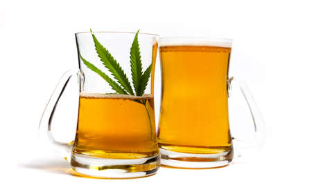 Beer with marijuana cannabis plant in a glass on whiteの写真素材