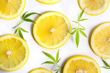 Marijuana cannabis plant and lemon isolated on whiteの写真素材