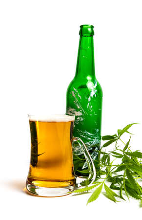 Beer with marijuana cannabis plant in a glass on whiteの写真素材