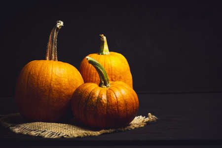 Punkins on a rustic background for a Thanksgiving abstractの写真素材