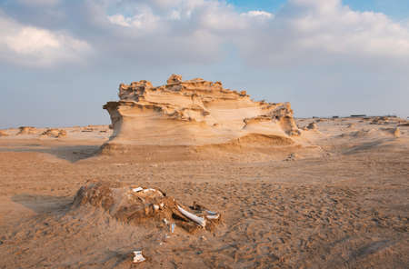 Fossil dunes landscape of formations of wind-swept sand in Abu Dhabi United Arab Emiratesの写真素材