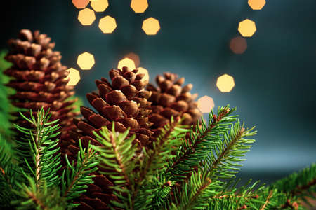 Pinecones and fir tree in festive Christmas illuminated environment