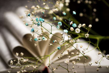 Book with flowers on a table closeup abstractの写真素材