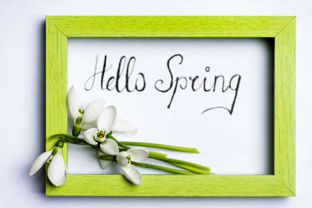 Fresh snowdrops bouquet with a ribbon in a wooden frame on white