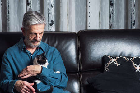 Senior man petting his cat on a sofa at homeの写真素材