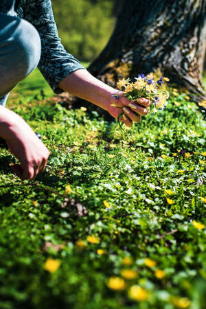 Woman picking spring flowers in the field