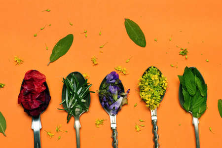 Tea flowers collection in spoons on orange background top viewの写真素材