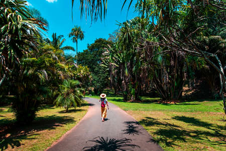 Woman exploring Royal Botanical Gardens in Kandy Sri Lanka. Asian tropical landscape travel sceneryの写真素材