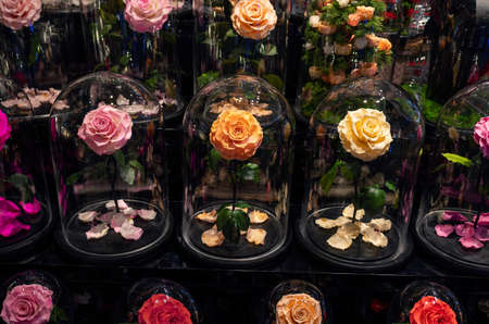 Luxurious rose flowers in glass for a perfect romantic gift for a loved one. Valentines day,...