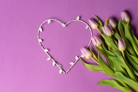 Purple tulips with a heart shape on matching purple background arrangement top view flat lay with copy spaceの写真素材