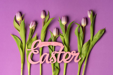 Easter card with purple tulips on matching purple background arrangement top view flat lay with copy spaceの写真素材