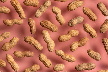 A bunch of fresh peanuts in a crunchy shell on a pink background.の写真素材