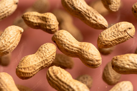 A bunch of fresh peanuts in a crunchy shell on a pink background.の写真素材
