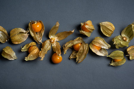 Peruvian strawberry, Physalis peruviana - addition to dishes, desserts, salads. The super fruit of the ancient Aztecs, affects the body like an antibiotic. It can be grown in a pot as a decorative plantの写真素材