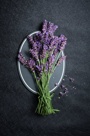 A bunch of fresh, vibrant purple lavender flowers neatly arranged on a stylish black and white plate, set against a dark textured background. The composition emphasizes the natural beauty and aromatic qualities of the lavender, offering a sense of tranquility and elegance.の写真素材