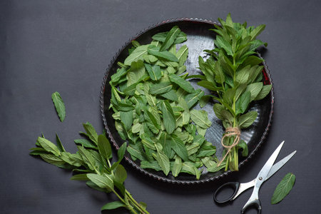 A beautiful arrangement of fresh mint leaves along with some twigs creatively displayed on a dark surface, perfect for culinary or herbal themes in photography.の写真素材