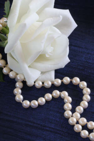 white rose with pearl necklace against blue backgroundの写真素材