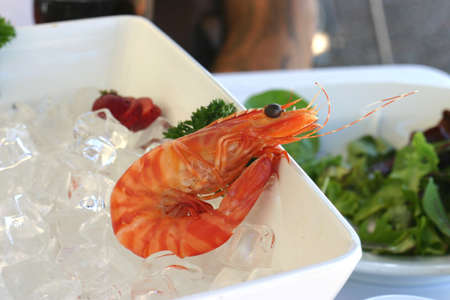 prawn with parsley garnish on iceの写真素材