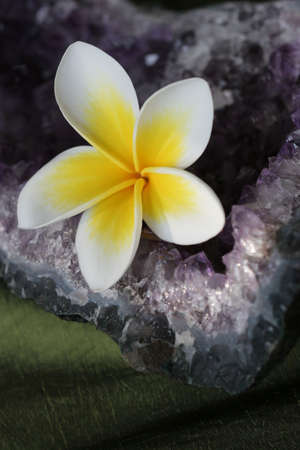 Close up of yellow and white tropical plumeria / frangiapani flower with amethyst crystal geodeの写真素材