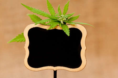 Marijuana - Cannabis - Medicinal with blackboard on burlap hessian backgroundの写真素材