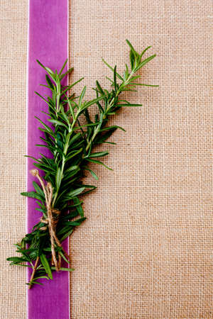 sprig of rosemary herb on pink ribbon and burlap backgroundの写真素材