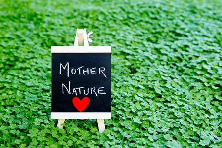 Love Mother Nature - handwritten on blackboard in green cloverの写真素材