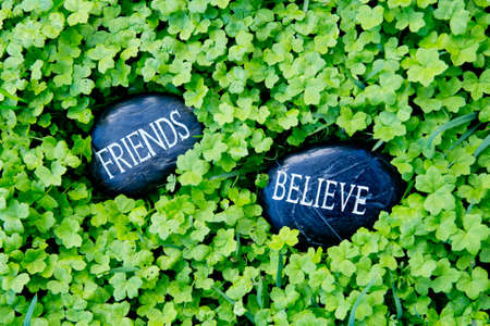Friends Believe - text on stone in green cloverの写真素材