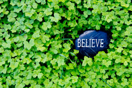 Believe - text on stone in green cloverの写真素材