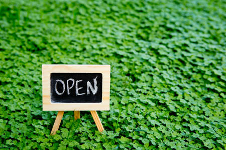 Open - handwritten on blackboard in green cloverの写真素材