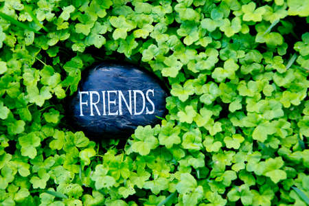 Friends - text on stone in green cloverの写真素材