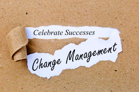 Change Management - Celebrate Successes - successful strategies for change management