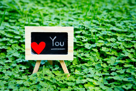 Love You - handwritten on blackboard in green cloverの写真素材
