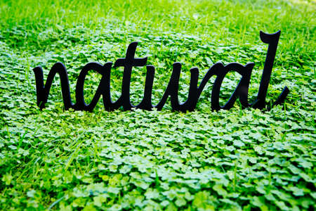 Natural - wooden word set in lush green cloverの写真素材
