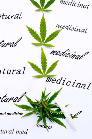 Medicinal Marijuana - Natural - leaves on printed background with textの写真素材