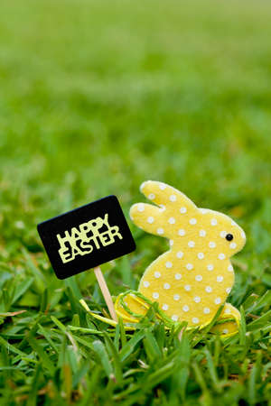 Easter Bunny and blackboard sign on natural grass background