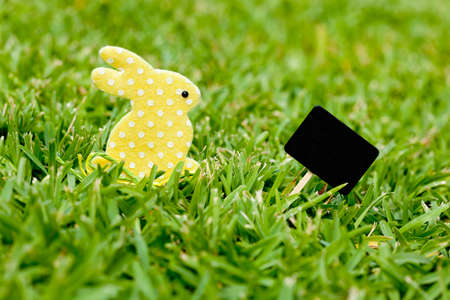 Easter Bunny and blackboard sign on natural grass backgroundの写真素材