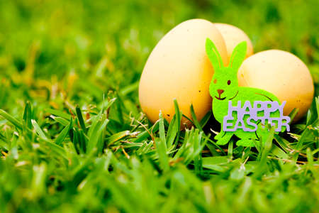 Easter - Bunny and eggs on natural grass backgroundの写真素材