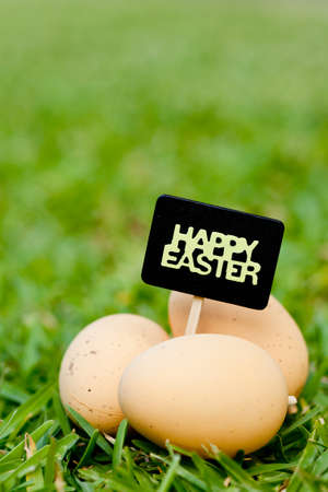 Easter - eggs with blackboard signの写真素材