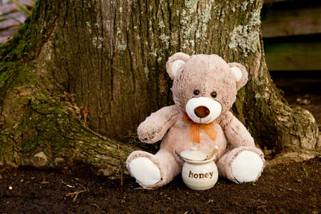 Teddy Bear with Honey pot in front of treeの写真素材