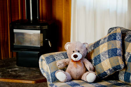 Teddy Bear - sitting on sofa couch in front of fireplaceの写真素材