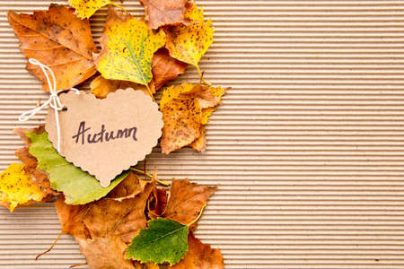 Autumn leaves on corrugated cardboard Background with heart shape tagの写真素材
