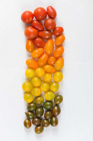 variedades de tomatitos cherryの写真素材