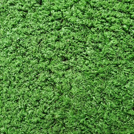 Cricket Pitch Texture Close up. Green Grass. Indoor Cricket Turf grass texture used in indoor cricket turfの写真素材