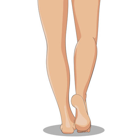 Slender female legs, barefoot, back view. Cartoon style, hand drawn. Feminine concept, design element for spa, medical centers, cosmetic products. Vector illustration, isolated on white background.のイラスト素材