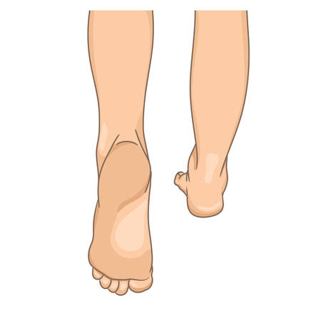 Female legs barefoot, back view, walking. Vector illustration, hand drawn cartoon style isolated on white.のイラスト素材